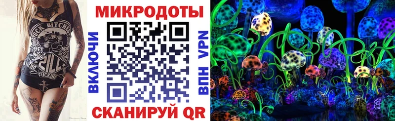 где купить наркотик  Павловский Посад  Псилоцибиновые грибы Psilocybe 